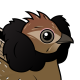 Ruffed Grouse
