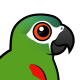 Red-shouldered Macaw