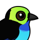 Paradise Tanager