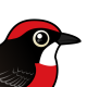Crimson Chat