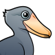 Shoebill