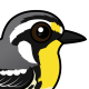 Yellow-throated Warbler