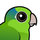 Pacific Parrotlet