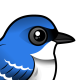 Cerulean Warbler