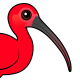 Scarlet Ibis