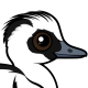 Smew