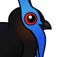 Bulwer's Pheasant