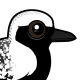 Black-bellied Plover