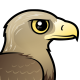 White-tailed Eagle