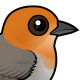 Brown-flanked Tanager