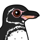 Galapagos Penguin