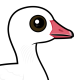 Snow Goose