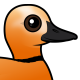 Ruddy Shelduck