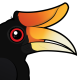Rhinoceros Hornbill