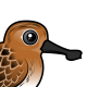 Spoon-billed Sandpiper