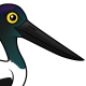 Black-necked Stork