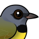 Mourning Warbler