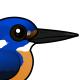 Azure Kingfisher