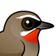 Siberian Rubythroat