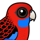 Crimson Rosella