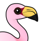 James's Flamingo