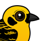 Golden Tanager