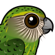 Kakapo