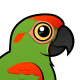 Red-fronted Macaw