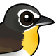 Yellow-breasted Chat
