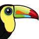 Keel-billed Toucan