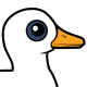 Pekin Duck