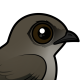 Chimney Swift