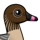 Pink-footed Goose