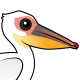 Great White Pelican