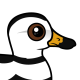 Labrador Duck
