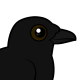 Carrion Crow