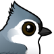 Tufted Titmouse