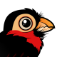 Bearded Barbet