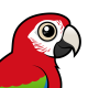 Green-winged Macaw