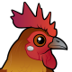 Red Junglefowl