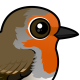 European Robin
