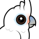 Tanimbar Corella