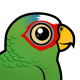 White-fronted Parrot