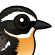 Whinchat