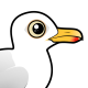 Glaucous Gull
