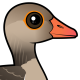 Graylag Goose