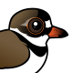Semipalmated Plover