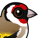 European Goldfinch