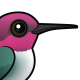 Bee Hummingbird