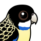 Northern Rosella